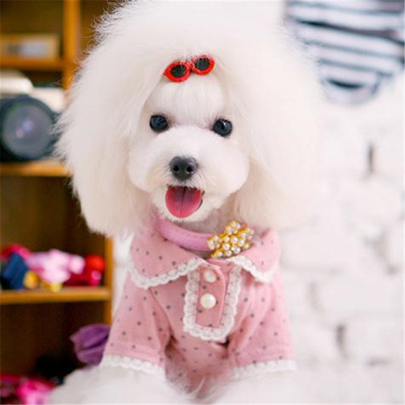Pet glasses hair clip