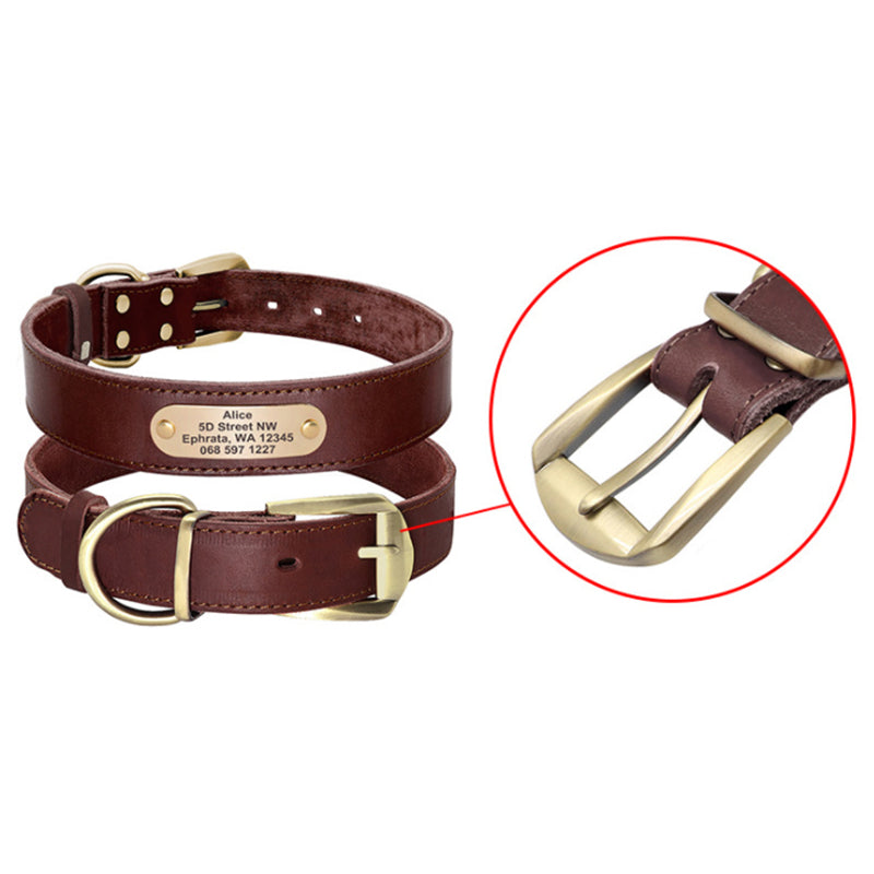 Personalized Dog Collars with Nameplate ID Tags for Medium Large Dogs
