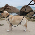 Pure Color Explosion-Proof and Retractable Pet Leash
