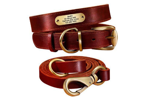 Personalized Dog Collars with Nameplate ID Tags for Medium Large Dogs