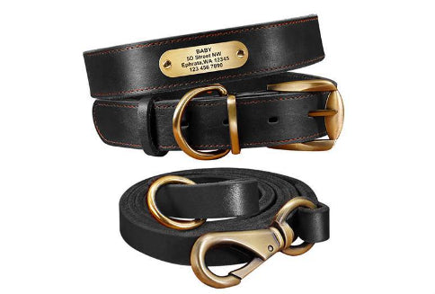 Personalized Dog Collars with Nameplate ID Tags for Medium Large Dogs